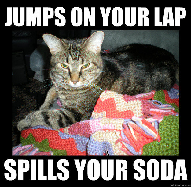 Jumps on your lap Spills your soda - Jumps on your lap Spills your soda  Bad Luck Ace