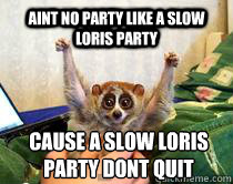 Aint no party like a slow loris party cause a slow loris party dont quit  American Studies Slow Loris