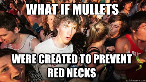 what if mullets  were created to prevent red necks   Sudden Clarity Clarence