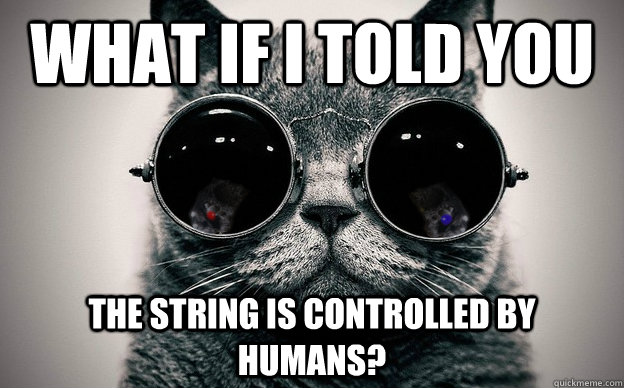 What if i told you The string is Controlled by Humans?  Cat morpheus plus paws
