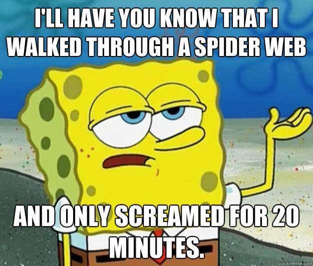 I'll have you know that I walked through a spider web And only screamed for 20 minutes.  Tough Spongebob
