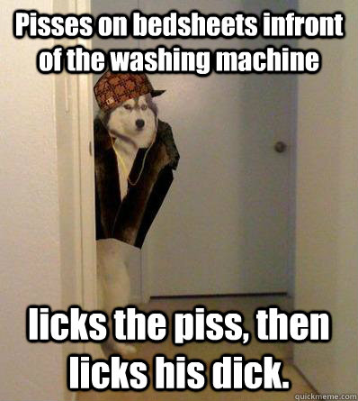 Pisses on bedsheets infront of the washing machine licks the piss, then licks his dick.  Scumbag dog