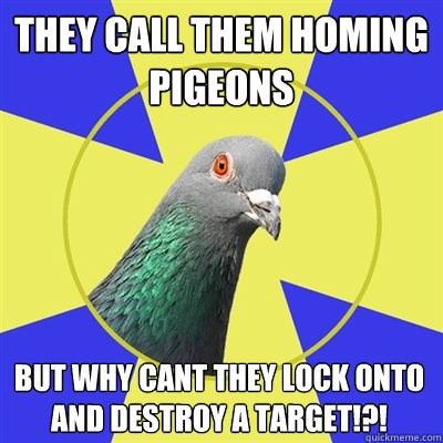 They call them homing pigeons but why cant they lock onto and destroy a target!?!  Religion Pigeon
