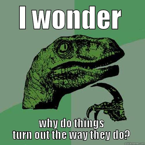 I WONDER WHY DO THINGS TURN OUT THE WAY THEY DO? Philosoraptor