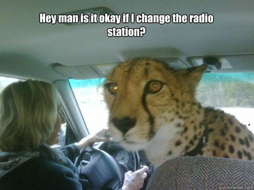 Hey man is it okay if I change the radio station?  