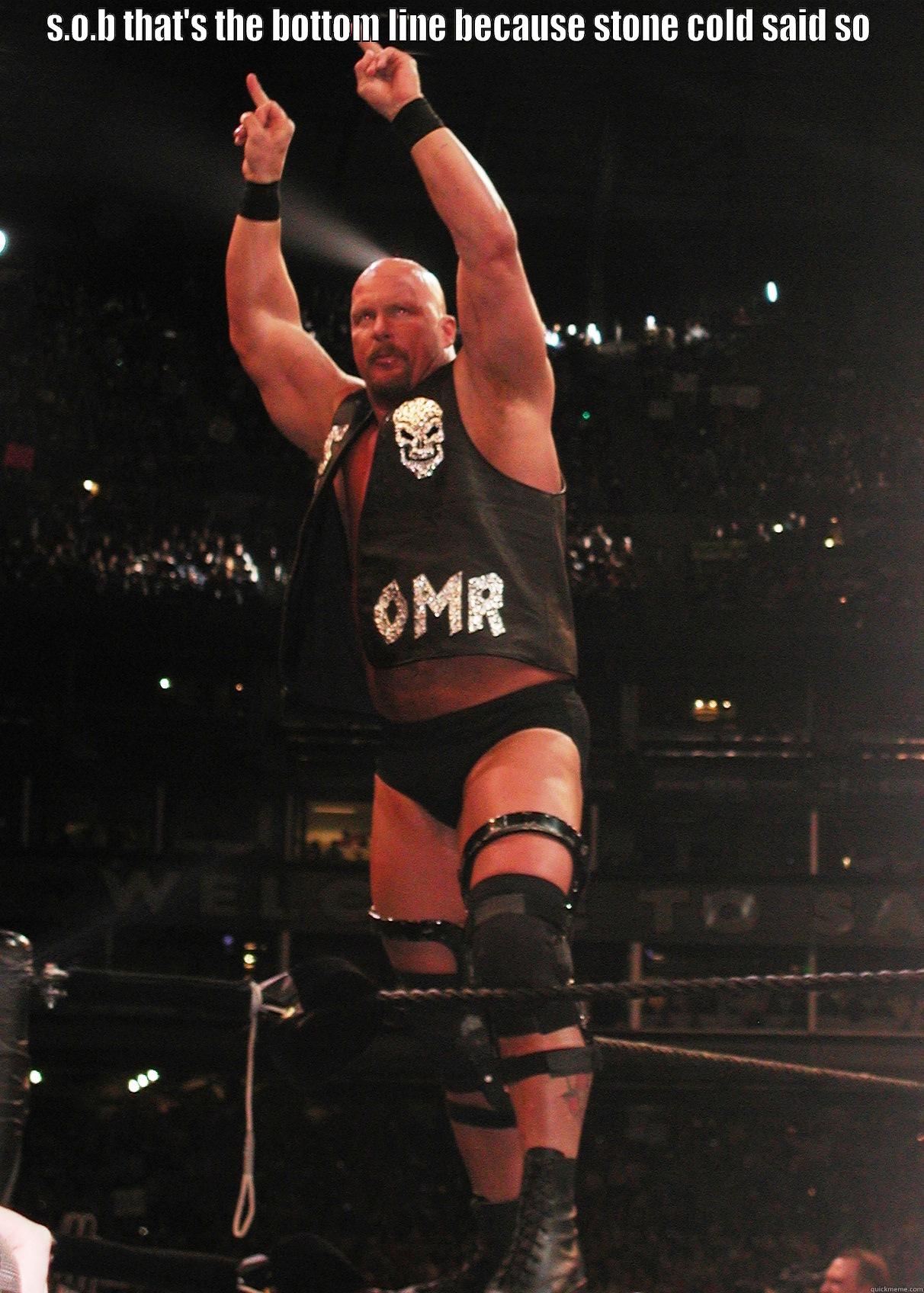 S.O.B THAT'S THE BOTTOM LINE BECAUSE STONE COLD SAID SO  Misc