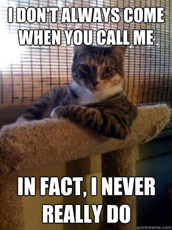 i don't always come when you call me in fact, i never really do - i don't always come when you call me in fact, i never really do  The Most Interesting Cat in the World