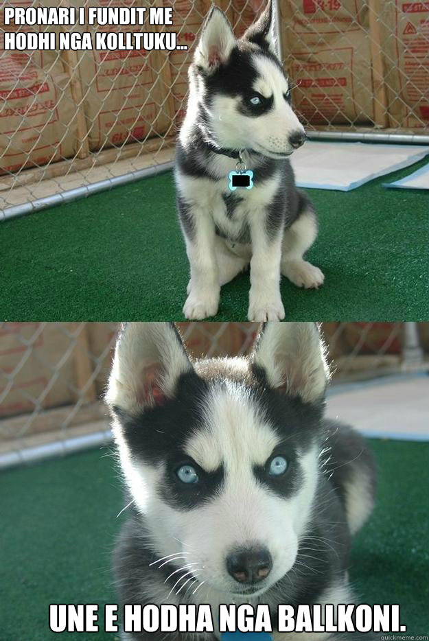 Pronari i fundit me
hodhi nga kolltuku... une e hodha nga ballkoni.  Insanity puppy