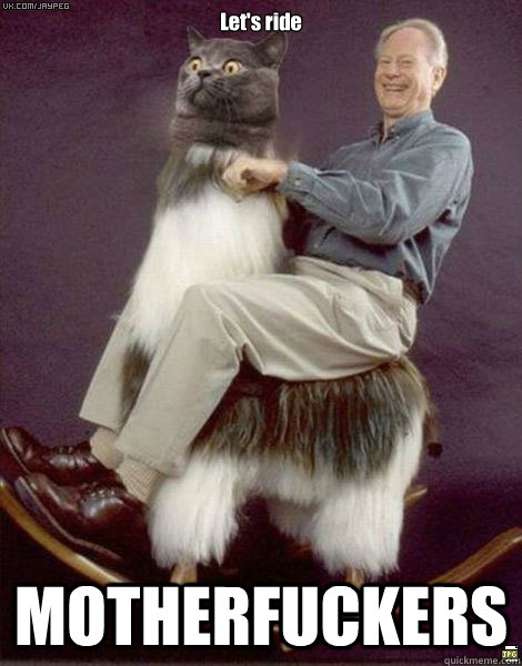 Let's ride MOTHERFUCKERS - Let's ride MOTHERFUCKERS  CAT RIDE