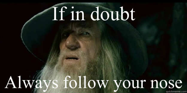 If in doubt Always follow your nose  I have no memory Gandalf