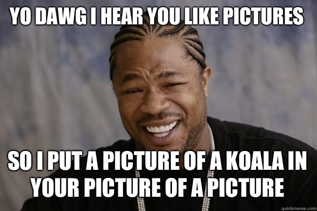 YO DAWG I HEAR YOU Like pictures so i put a picture of a koala in your picture of a picture  Xzibit meme