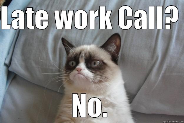 LATE WORK CALL?  NO. Grumpy Cat