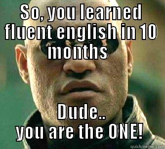 SO, YOU LEARNED FLUENT ENGLISH IN 10 MONTHS   DUDE.. YOU ARE THE ONE!  Matrix Morpheus