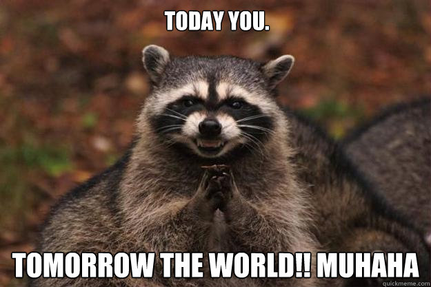 Today you. Tomorrow the world!! muhaha  Evil Plotting Raccoon
