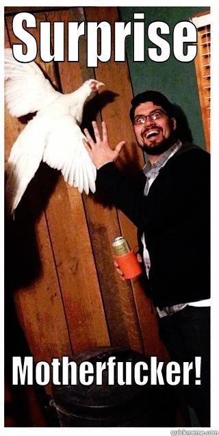 SURPRISE MOTHERFUCKER! Misc