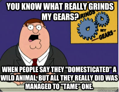you know what really grinds my gears? When people say they 