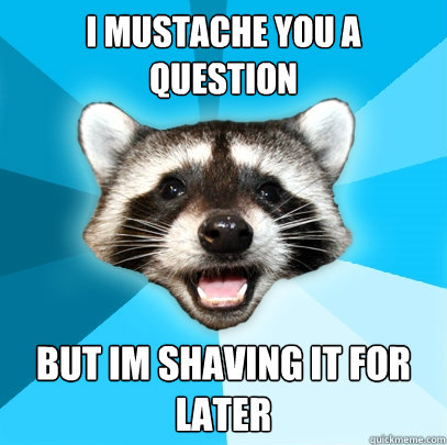 I MUSTACHE YOU A QUESTION BUT IM SHAVING IT FOR LATER   Lame Pun Coon