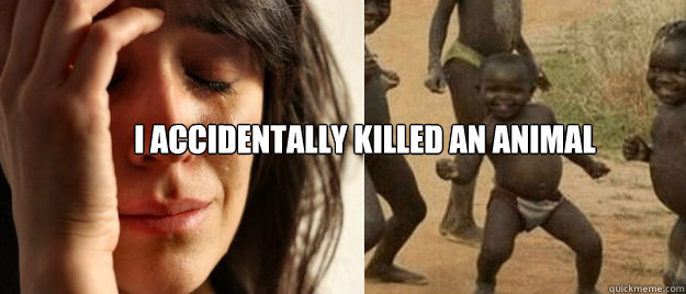 i accidentally killed an animal  