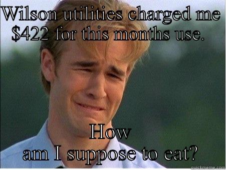 WILSON UTILITIES CHARGED ME $422 FOR THIS MONTHS USE.  HOW AM I SUPPOSE TO EAT? 1990s Problems