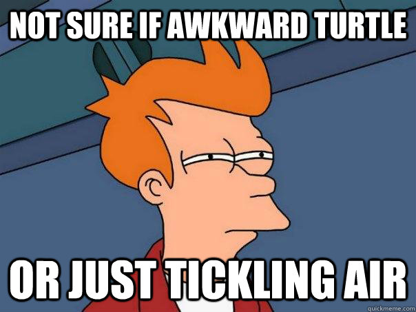 Not sure if awkward turtle Or just tickling air  Futurama Fry