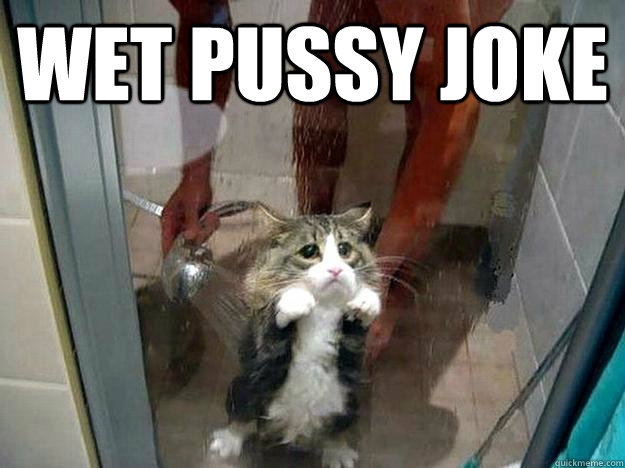 Wet Pussy Joke  - Wet Pussy Joke   Shower kitty