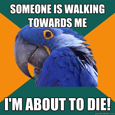 Someone is walking towards me I'm about to die!  Paranoid Parrot