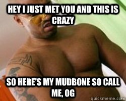 HEY I JUST MET YOU AND THIS IS CRAZY SO HERE'S MY MUDBONE SO CALL ME, OG  OG mudbone enters American idol