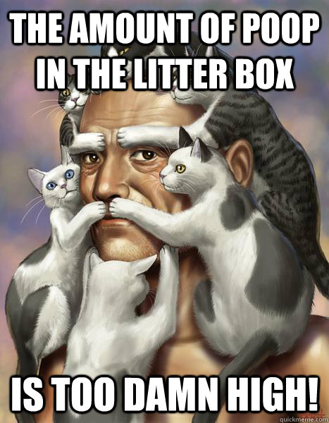 The amount of poop in the litter box IS TOO DAMN HIGH! - The amount of poop in the litter box IS TOO DAMN HIGH!  Misc