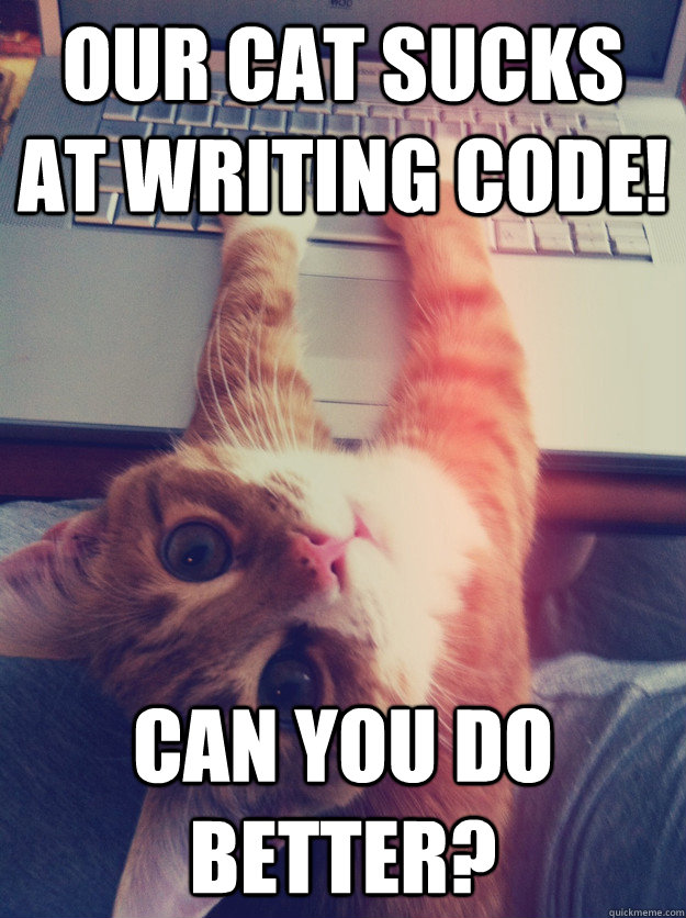 Our cat sucks at writing code! Can you do better? - Our cat sucks at writing code! Can you do better?  Programmer Cat