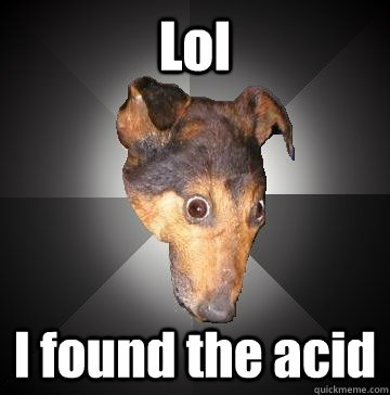 Lol I found the acid  Depression Dog
