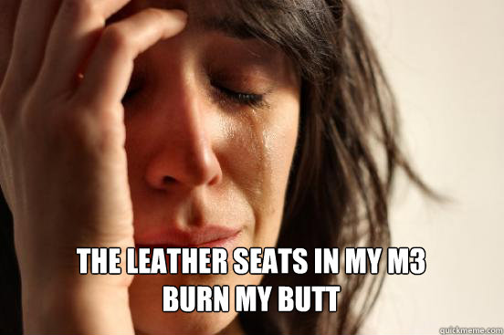  The leather seats in my m3 
burn my butt Caption 3 goes here  First World Problems