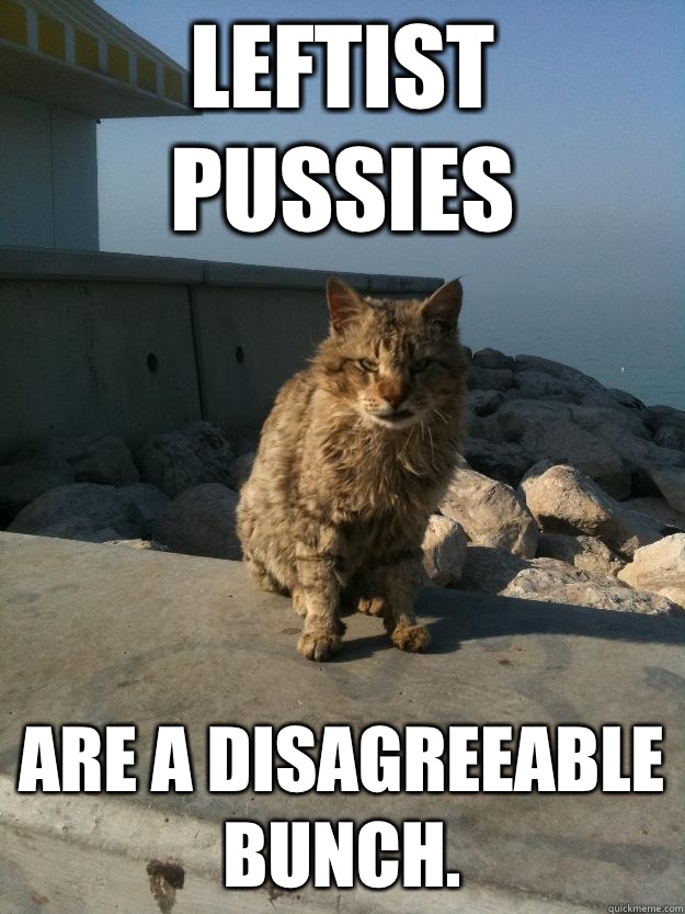 Leftist pussies Are a disagreeable bunch.  Bitter Cat
