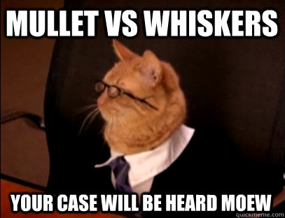 mullet vs whiskers your case will be heard moew  Lawyer Cat