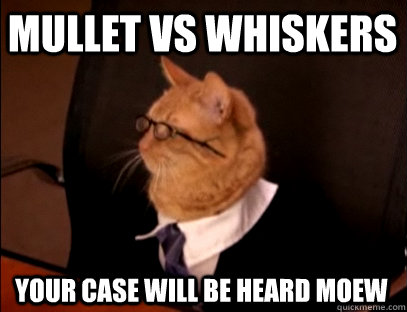 mullet vs whiskers your case will be heard moew - mullet vs whiskers your case will be heard moew  Lawyer Cat