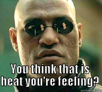  YOU THINK THAT IS HEAT YOU'RE FEELING? Matrix Morpheus
