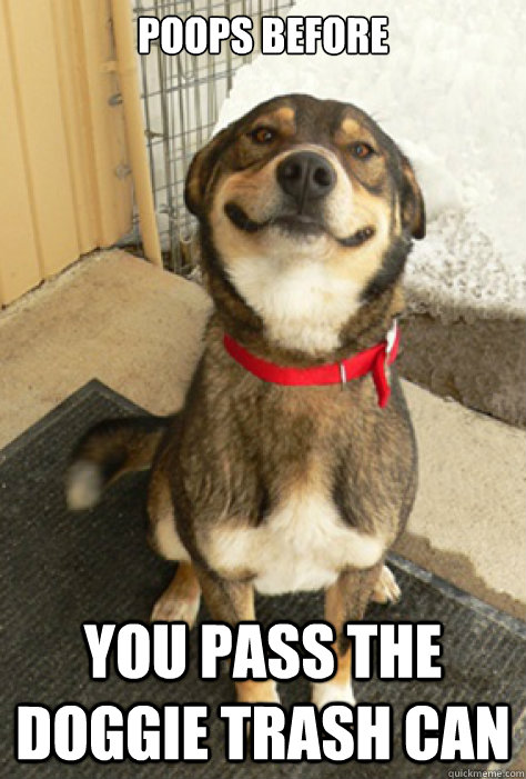 Poops Before  You pass the doggie trash can  Good Guy Dog