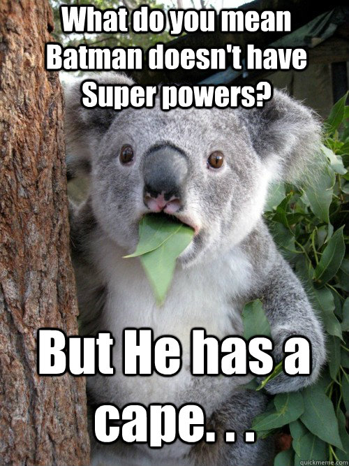 What do you mean Batman doesn't have Super powers? But He has a cape. . . - What do you mean Batman doesn't have Super powers? But He has a cape. . .  astonished koala