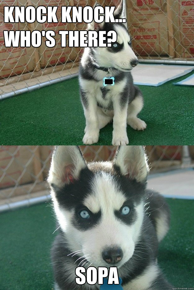 Knock Knock...    Who's There? SOPA  Insanity puppy