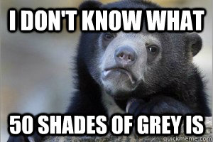 I don't know what 50 shades of grey is  Confession Bear on Facebook