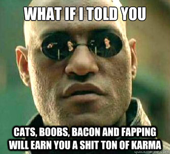 What if I told you cats, boobs, bacon and fapping will earn you a shit ton of karma  Matrix Morpheus