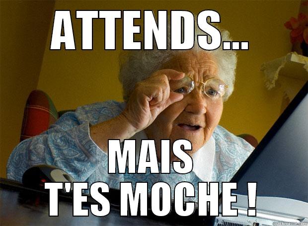 ATTENDS... MAIS T'ES MOCHE ! Grandma finds the Internet