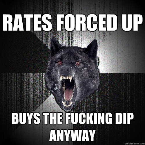 Rates forced up buys the fucking dip anyway  Insanity Wolf