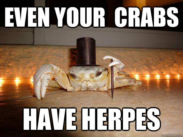 even your  crabs have herpes  Fancy Crab
