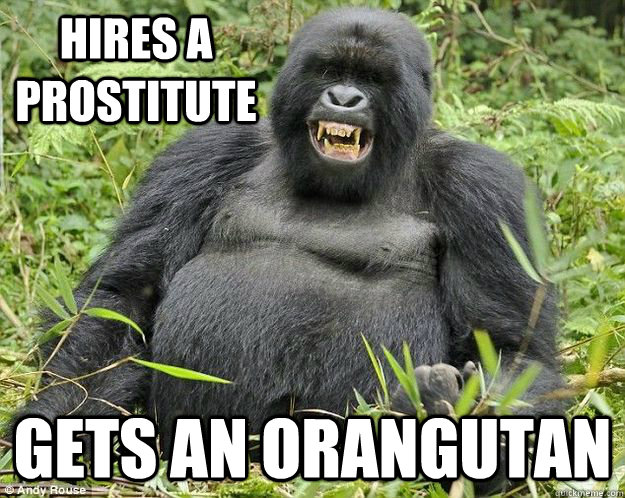 Hires a Prostitute Gets an Orangutan  Good Luck Gorilla