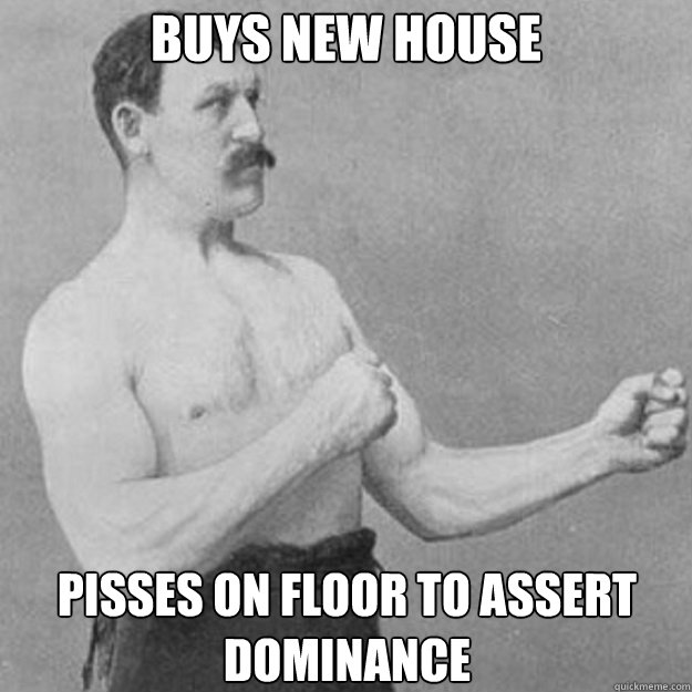 buys new house pisses on floor to assert dominance  overly manly man