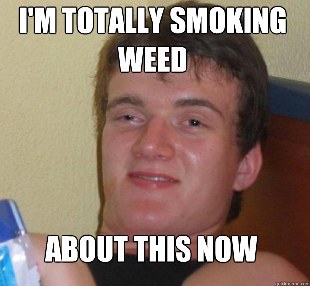 i'm totally smoking weed about this now - i'm totally smoking weed about this now  ten guy