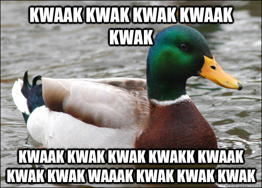 kwaak kwak kwak kwaak kwak kwaak kwak kwak kwakk kwaak kwak kwak waaak kwak kwak kwak  Actual Advice Mallard