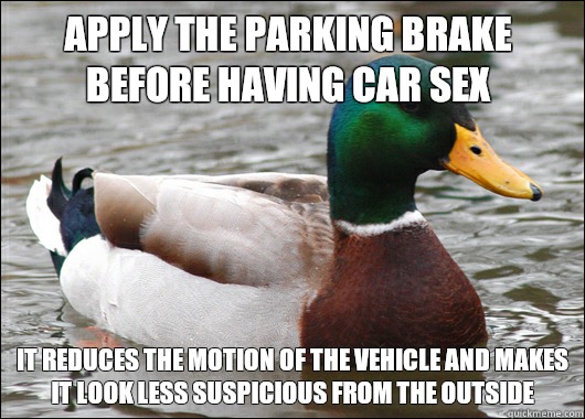 Apply the parking brake before having car sex It reduces the motion of the vehicle and makes it look less suspicious from the outside  Actual Advice Mallard