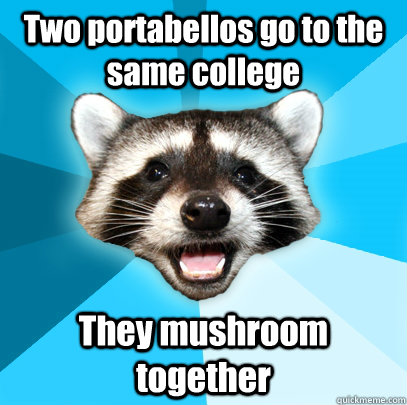 Two portabellos go to the same college They mushroom together  Lame Pun Coon