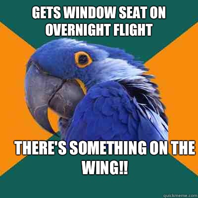 Gets window seat on Overnight flight There's something on the wing!!  Paranoid Parrot